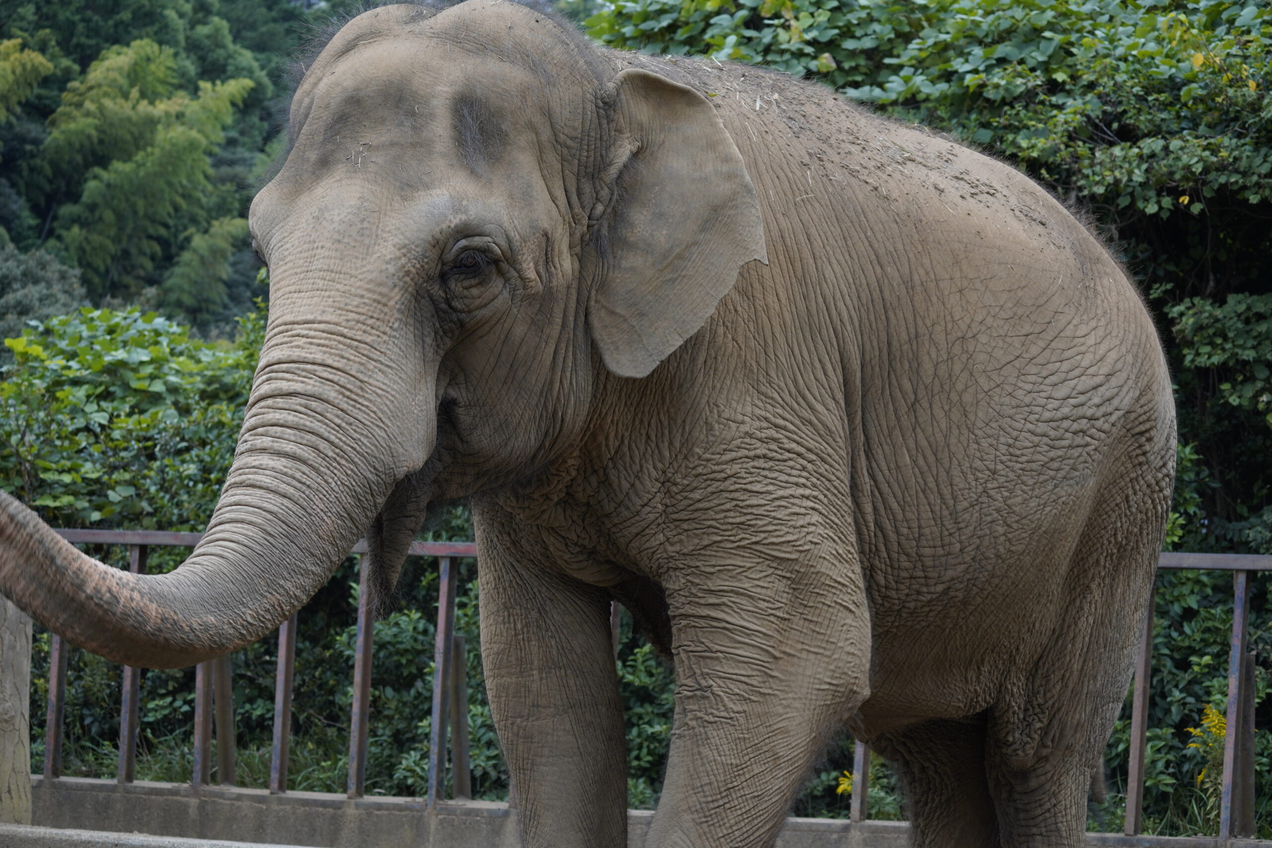 多摩動物公園の雰囲気