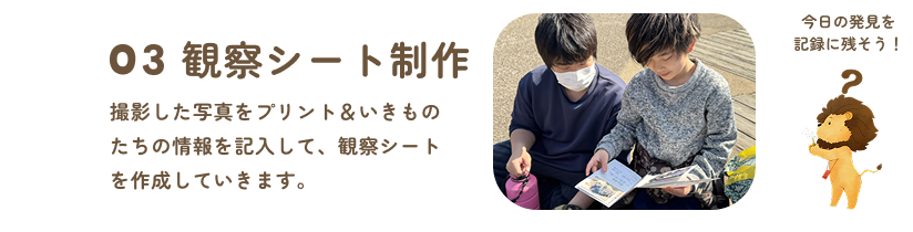 観察シート制作