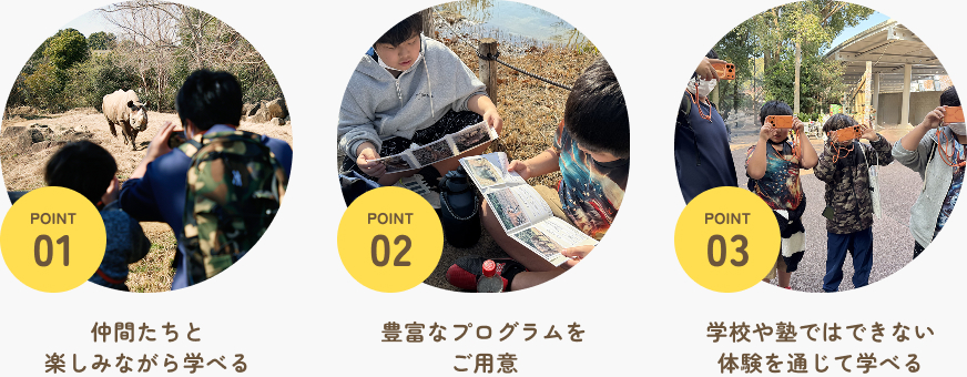 いきものずーかんさつってなに