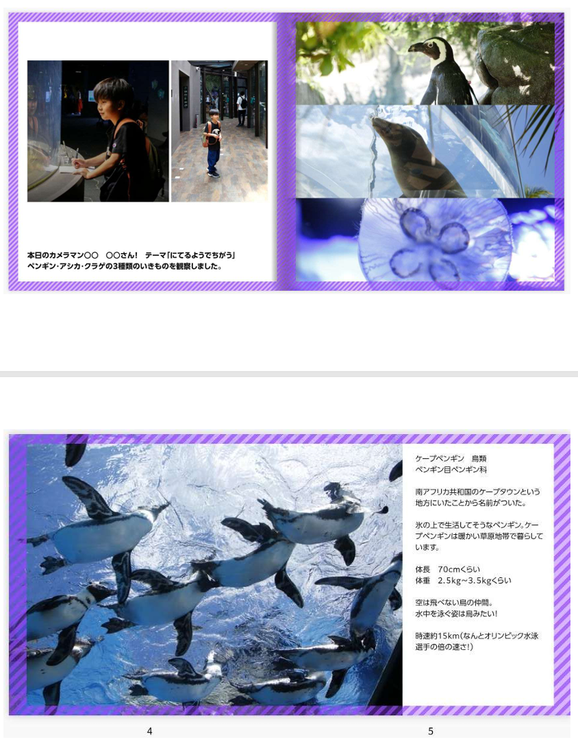 フォトブック